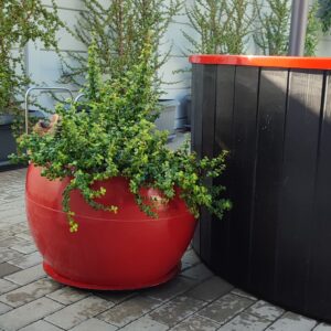 Matching Pot Plant Holder Fibreglass
